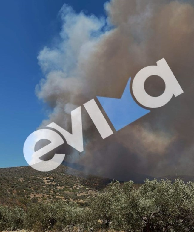 Φωτιά στην Εύβοια