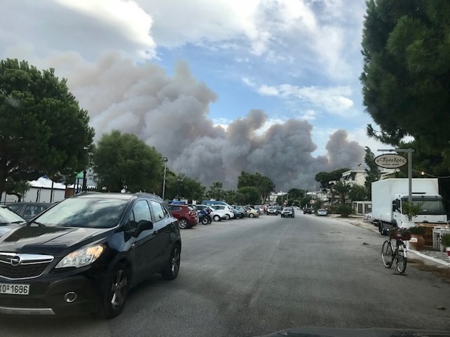 ΜΑΡΙΝΑ ΚΑΡΥΔΑ ΜΑΤΙ