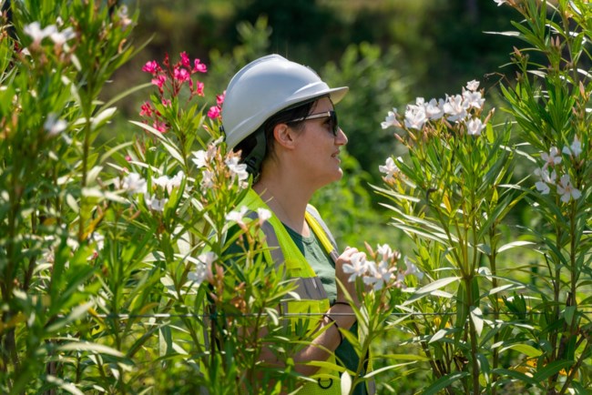 ΕΛΛΗΝΙΚΟΣ ΧΡΥΣΟΣ
