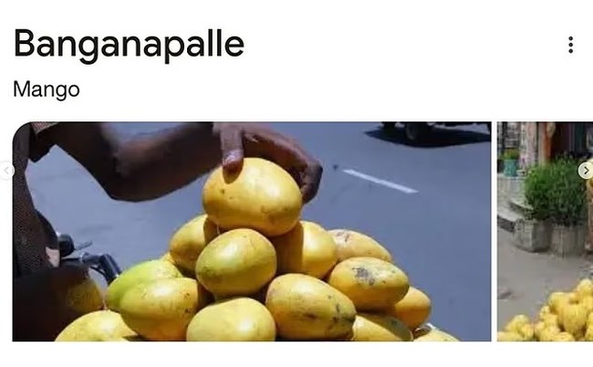 ΚΕΝΕΝΤΙ ΜΑΝΓΚΟ