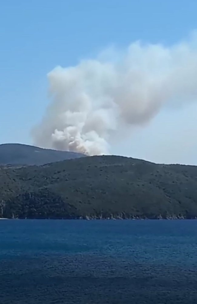 Φωτιά στη Χρυσοκελλαριά Μεσσηνίας: 35 πυροσβέστες με 12 οχήματα στη μάχη για την κατάσβεση της πυρκαγιάς