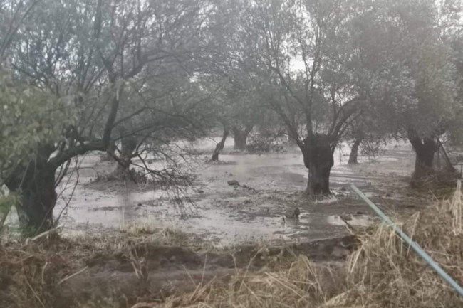 Πλημμύρισε η Λέσβος: Διακοπές ρεύματος, βούλιαξαν βάρκες - Προβλήματα στον Μανταμάδο [εικόνες]