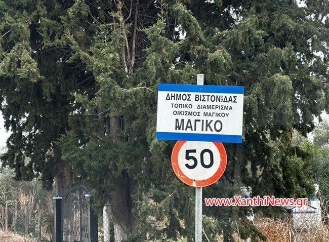 ΞΑΝΘΗ ΛΙΠΟΘΥΜΑ ΠΑΙΔΙΑ