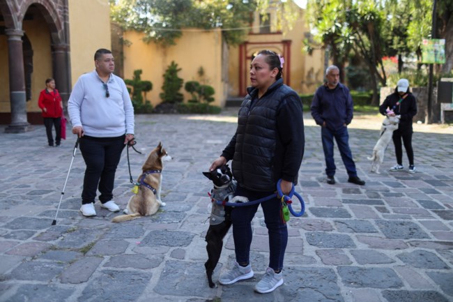 Ισπανία: Σκύλοι, γάτες, παπαγάλοι... όλα τα ζώα στη σειρά για την ευλογία του Αγίου Αντωνίου - Εικόνες