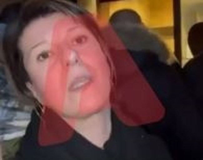 Εύα Καϊλή: "Εβλεπα μία γυναίκα σε σοκ" - Τι αποκαλύπτει η μεταφράστρια που βρέθηκε δίπλα της