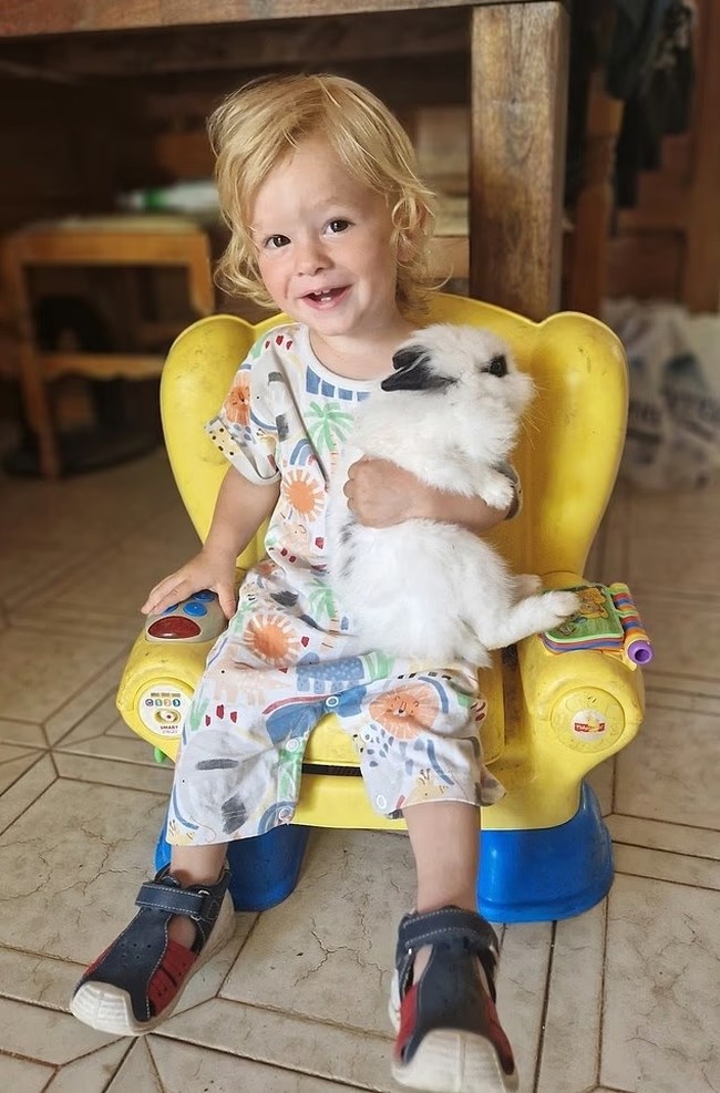 ΖΑΚΥΝΘΟΣ ΤΡΑΦΩΔΙΑ - 2 ΕΤΩΝ ΑΓΟΡΑΚΙ ΝΕΚΡΟ ΑΠΟ ΔΑΓΚΩΜΑ ΠΙΤΜΠΟΥΛ