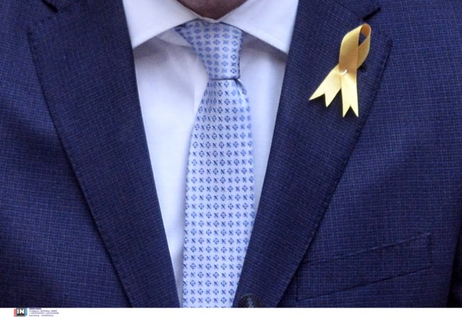 ΜΙΧΑΛΗΣ ΚΑΤΡΙΝΗΣ ΒΟΥΛΗ