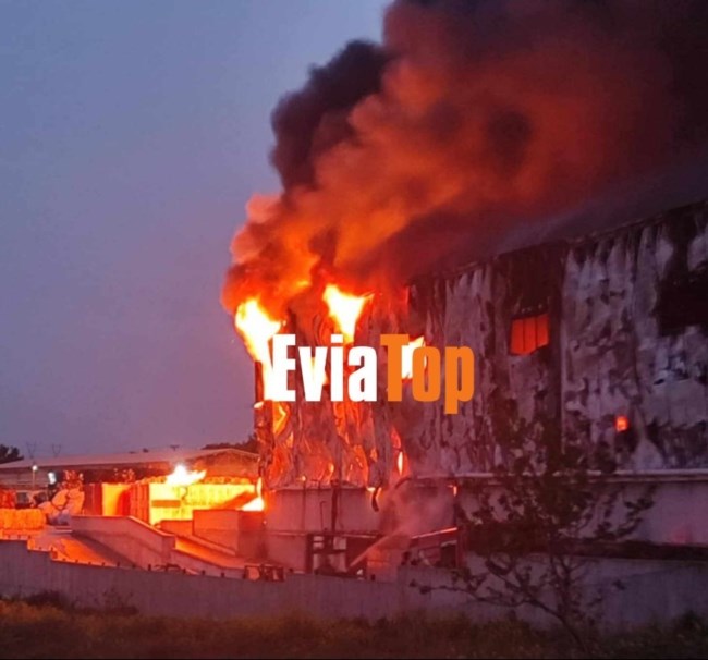 fvtia