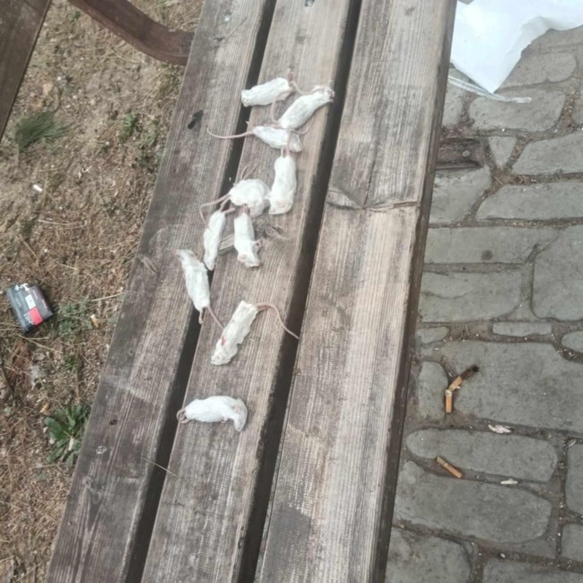 θεσσαλονικη