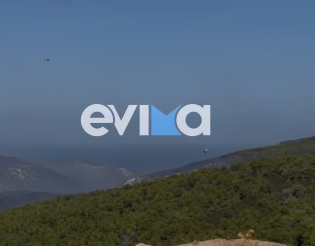 σκυρος