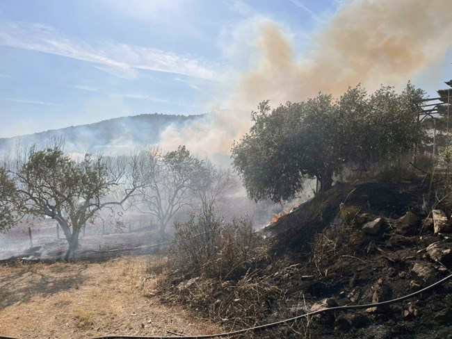 Καβάλα: Πυρκαγιά σε δάσος στο Ελαιοχώρι - Καίει και καλλιέργειες