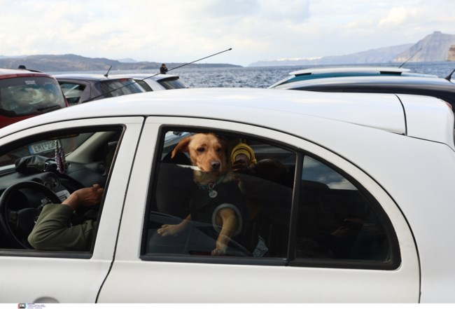 ΣΑΝΤΟΡΙΝΗ ΚΑΤΟΙΚΙΔΙΑ