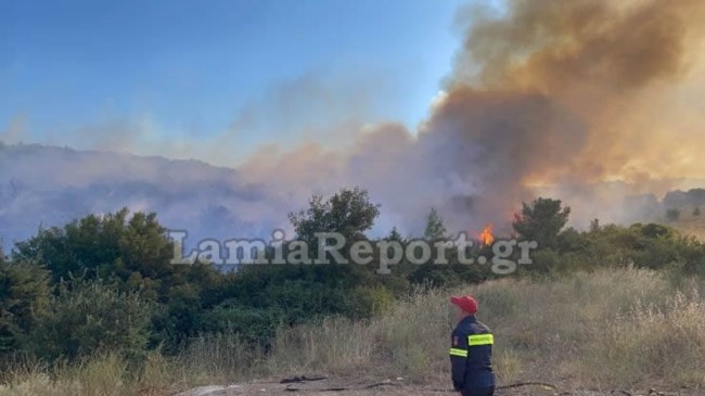 Φωτιά στη Λαμία