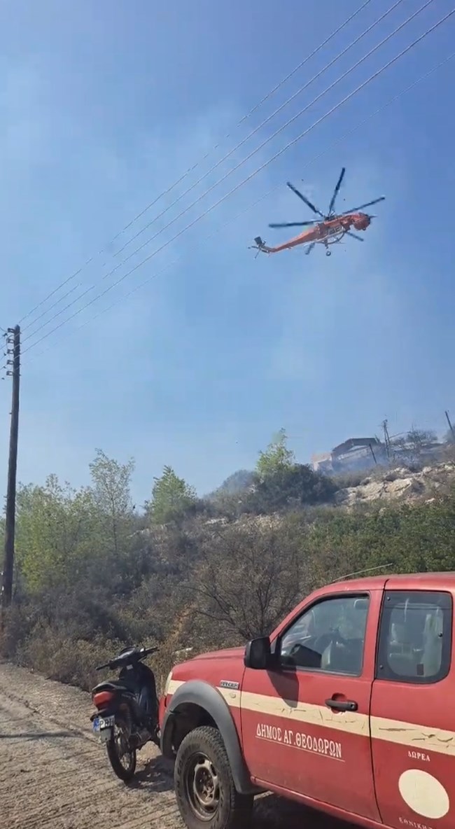Φωτιά Αγιοι Θεόδωροι