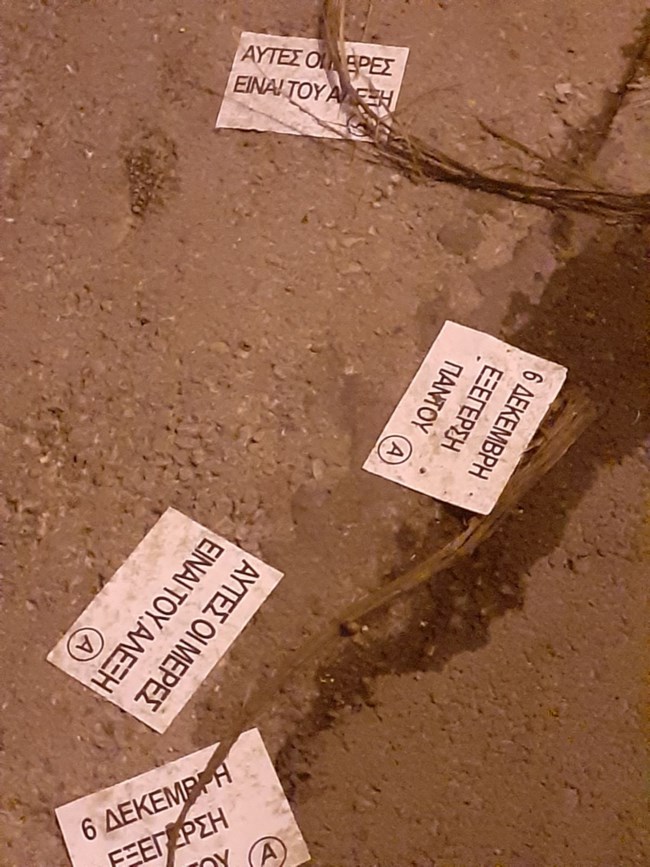 φειγ βολαν