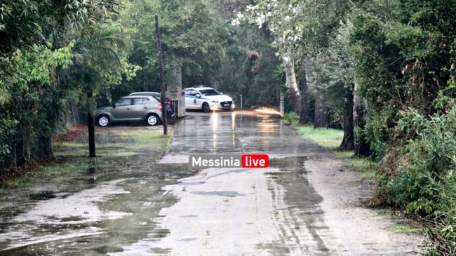 Διπλό φονικό στη Φοινικούντα: Ζευγάρι ο γνωστός αρχιτέκτονας και ο επιστάτης του κάμπινγκ - Μικρός σε ηλικία ο δράστης