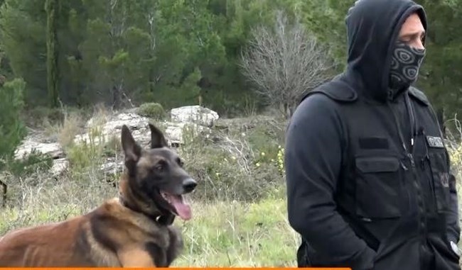 Σκύλοι έρευνας και διάσωσης: Η ομάδα Anubis βρέθηκε και στο σημείο της τραγωδίας των Τεμπών