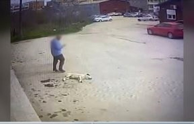 θεσσαλονικη