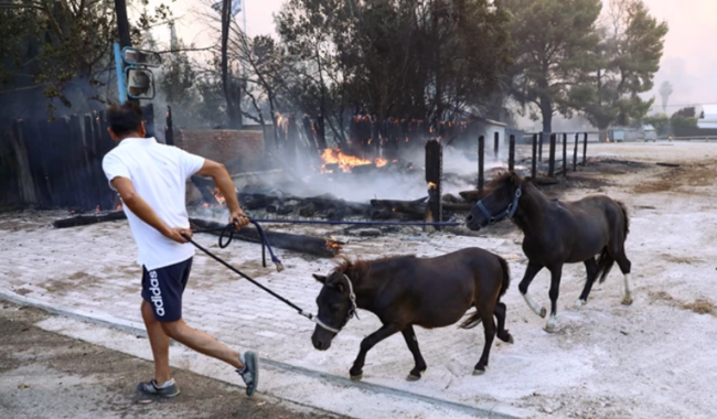 Άλογα Φωτιά