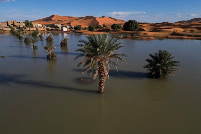 sahara