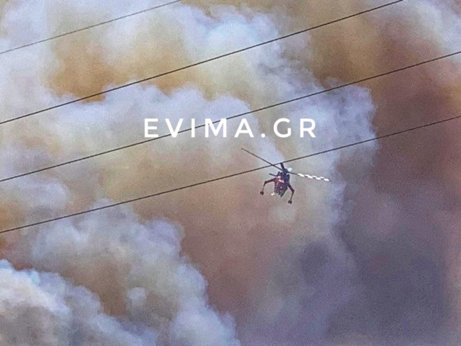 φωτια καρυστος