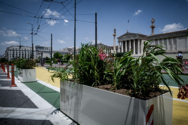 ΖΑΡΝΤΙΝΙΕΡΕΣ