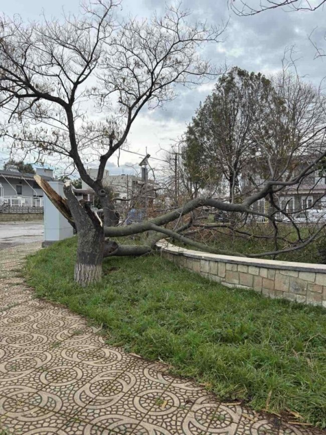 ΑΛΕΞΑΝΔΡΟΥΠΟΛΗ