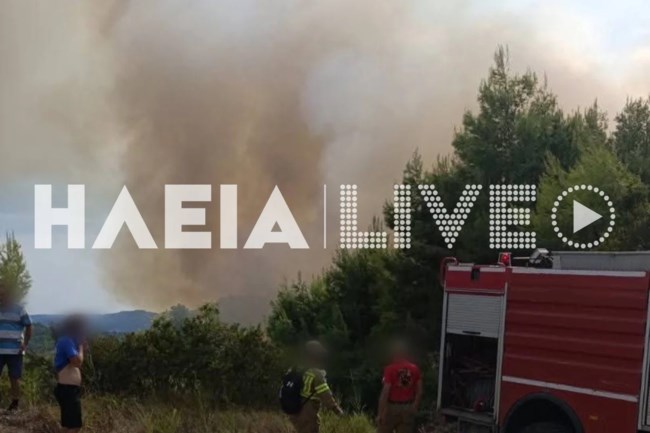 Συναγερμός στην Ηλεία: Φωτιά στο Μουζάκι σε δασική έκταση με πεύκα πριν την είσοδο του χωριού - Ενισχύθηκαν οι δυνάμεις