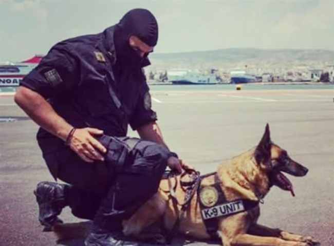 κανελλος