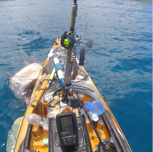 ΚΑΡΧΑΡΙΑΣ ΧΑΒΑΗ ΚΑΓΙΑΚ