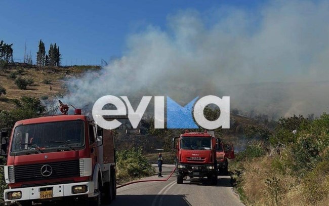 ΦΩΤΙΑ ΕΥΒΟΙΑ ΚΟΝΤΟΔΕΣΠΟΤΙ
