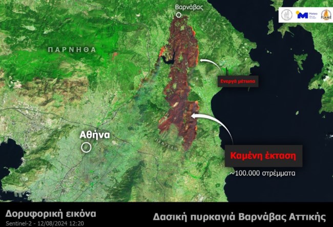 Έχουν καεί περίπου 100.000 στρέμματα