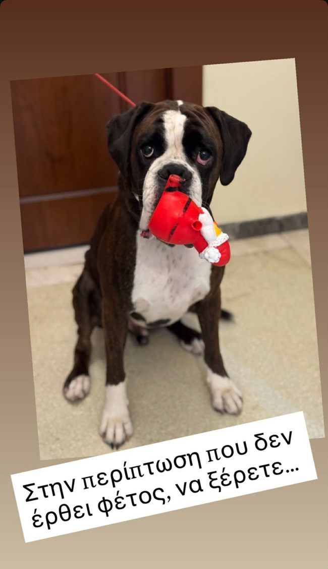 Σία Κοσιώνη: Η εικόνα που αντίκρυσε στο σπίτι της - "Να ξέρετε"