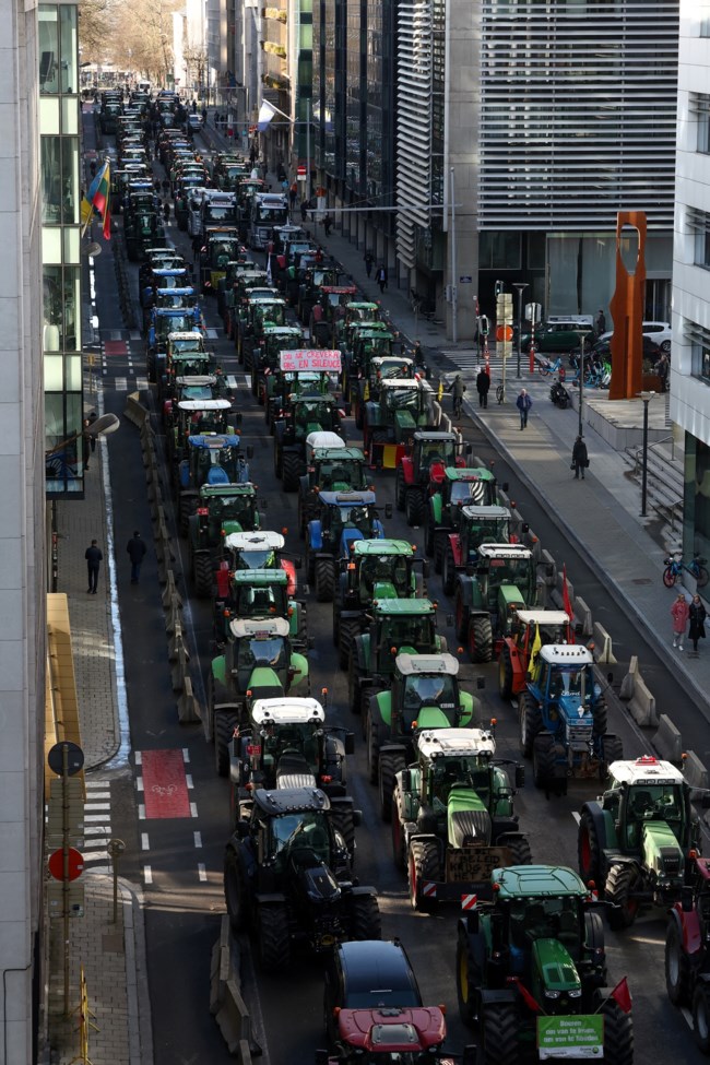 ΒΡΥΞΕΛΛΕΣ ΑΓΡΟΤΕΣ