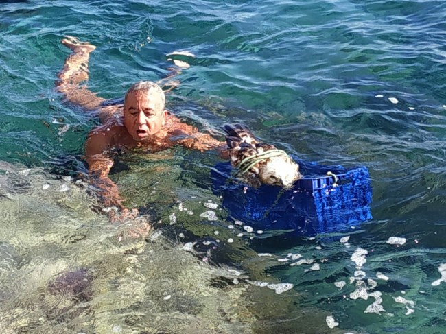 ΔΙΑΣΩΣΗ ΠΤΗΝΟΥ