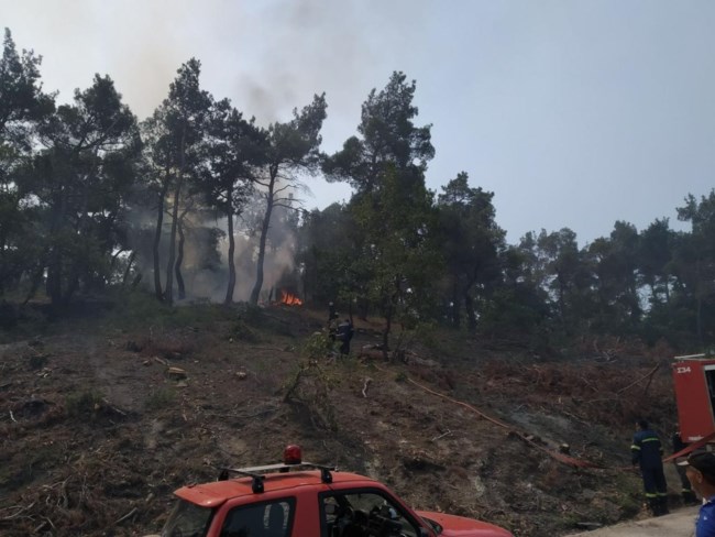 Φωτιά στον Έβρο: Ενισχύονται οι δυνάμεις της πυροσβεστικής - Μάχη στο δάσος της Δαδιάς