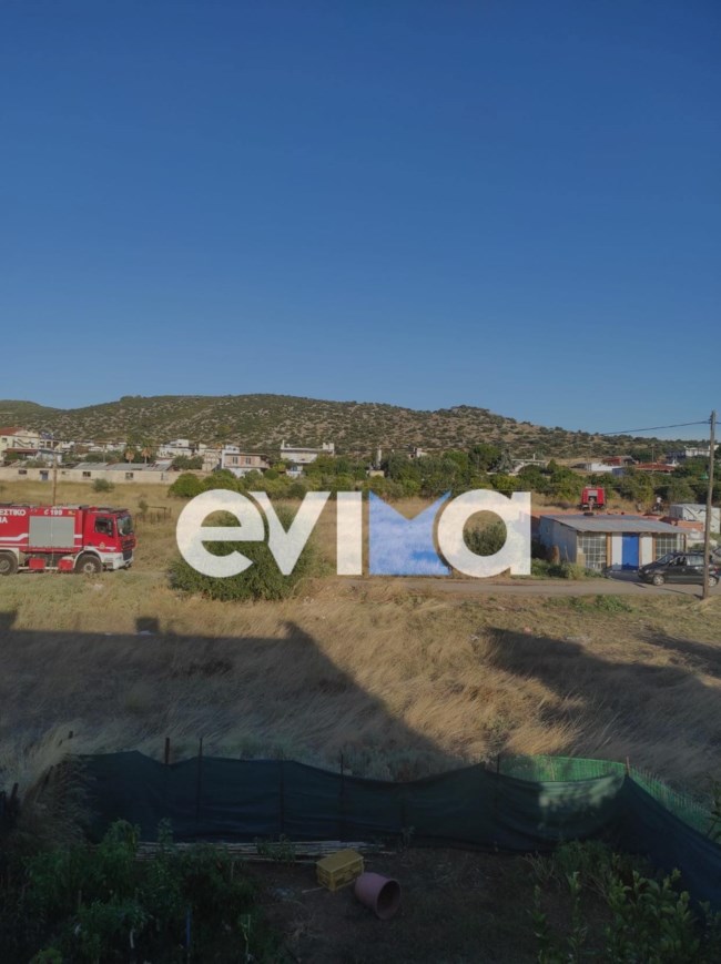 Φωτιά στη Χαλκίδα