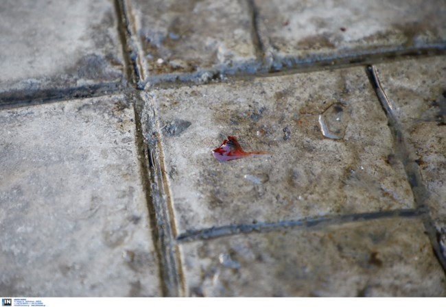 εκτελεση καλλιθεα