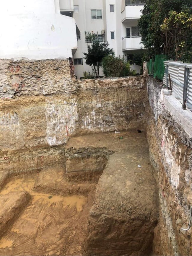 γατα
