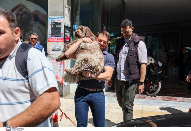ΚΑΣΣΕΛΑΚΗΣ ΧΑΝΙΑ