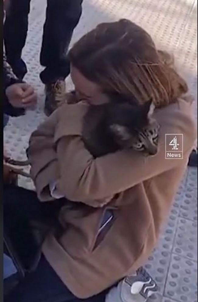 Βαλένθια: Οκτώ ημέρες μετά τη φωτιά οι πυροσβέστες βρήκαν έναν απίθανο επιζώντα, τον Κόκο τον γάτο