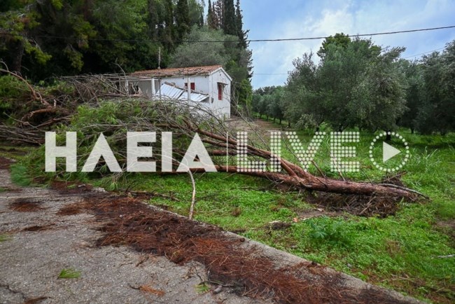 ΗΛΕΙΑ ΑΝΕΜΟΣΤΡΟΒΙΛΟΣ