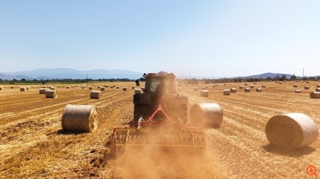 ΑΘΗΝΑΙΚΗ ΖΥΘΟΠΟΙΙΑ