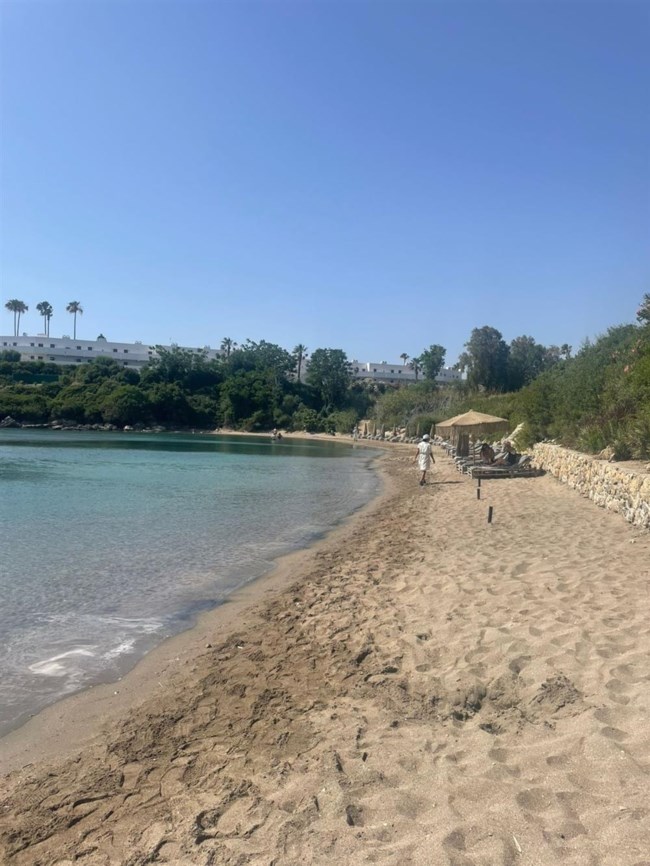 ΡΟΔΟΣ ΞΑΠΛΩΣΤΡΕΣ