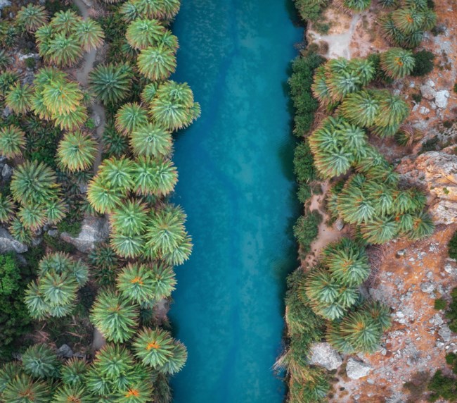 preveli