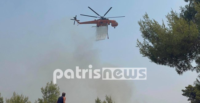 ΠΥΡΚΑΓΙΑ ΗΛΕΙΑ ΝΕΜΟΥΤΑ