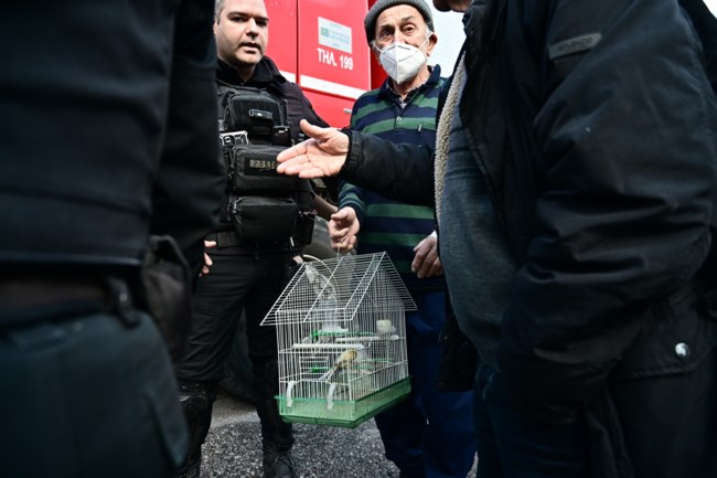 Φωτιά Χαϊδάρι
