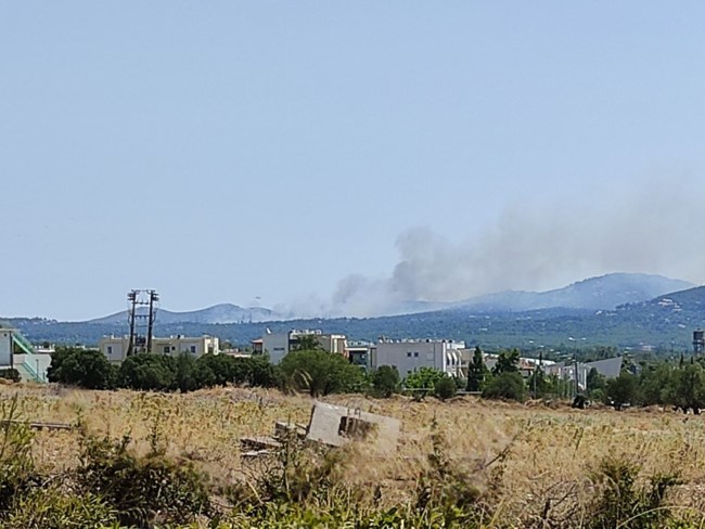 Φωτιά Σταμάτα