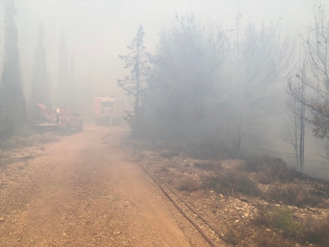 Συναγερμός στην Πυροσβεστική για φωτιά στο Χαϊδάρι - Στη μάχη δύο αεροσκάφη και δύο ελικόπτερα [Βίντεο]