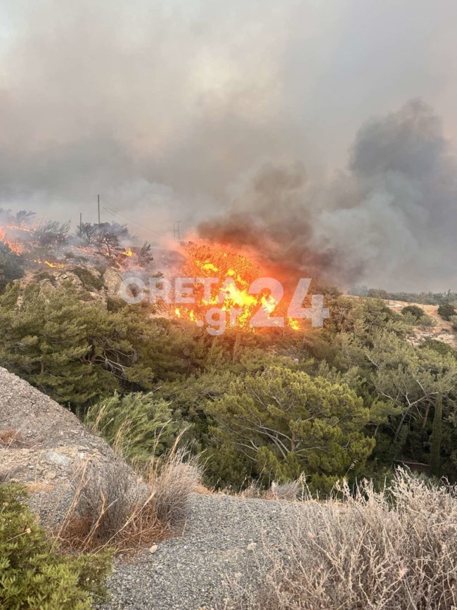 Μεγάλη φωτιά στην Ιεράπετρα: Aπειλούνται ξενοδοχεία - Εκκενώθηκαν περιοχές - Ισχυροί άνεμοι στην περιοχή  [βίντεο]